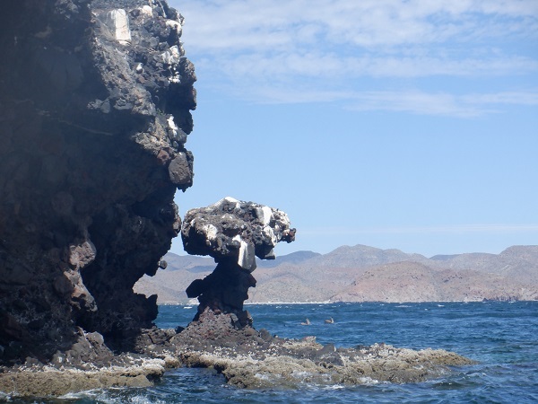 Bahia Coyote Mushroom Rock_0.jpg