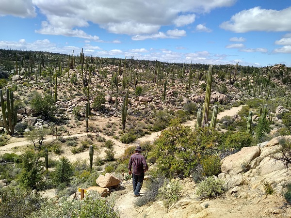 Baja Desert 2_0.jpg