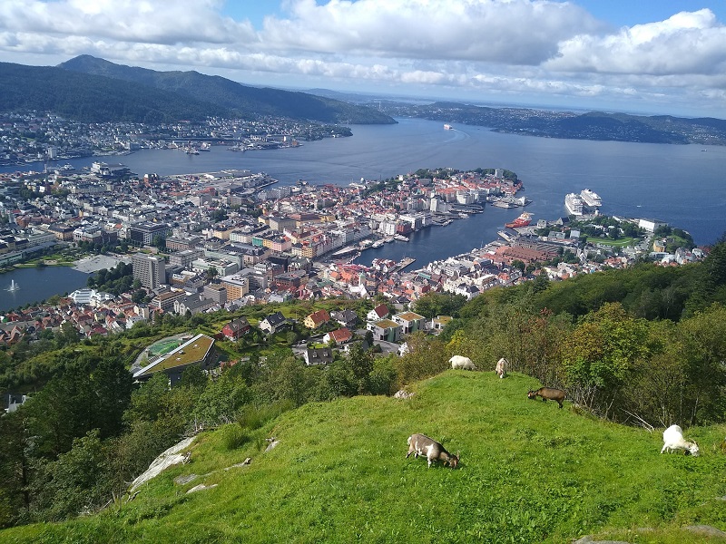 Bergen 2.jpg