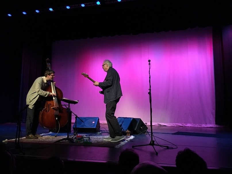 Bill Frisell 06292017 Boulton Center Purple getting down resize_0.jpg