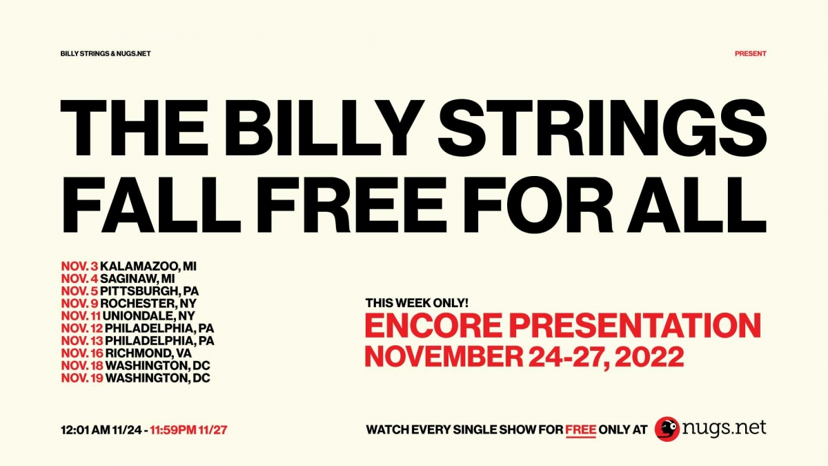 Billy Strings 4.jpg