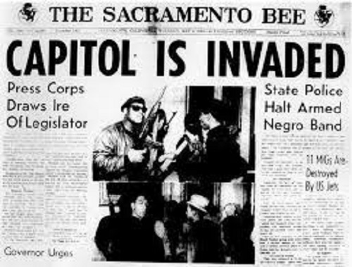 Black Panthers I.jpg