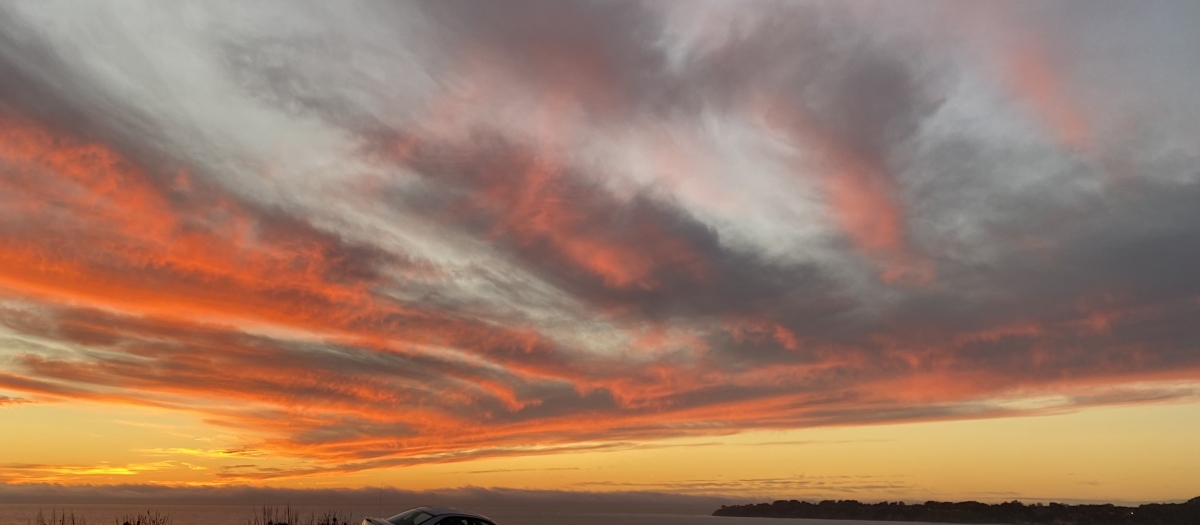 C1E29D6A-CF52-4958-9413-28B3629D4AC2.jpeg