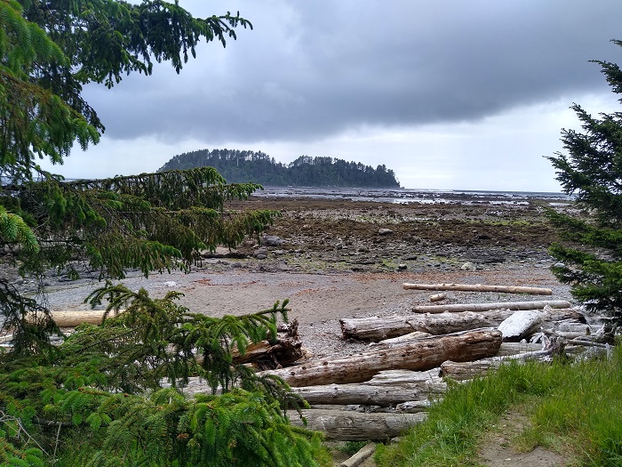 Cape Alava.jpg