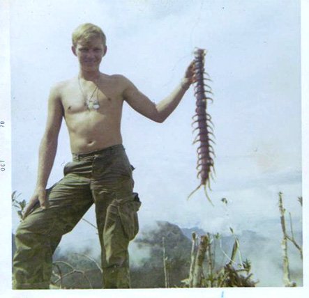 Centipede.jpg