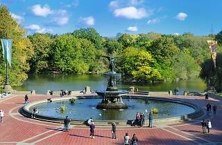 Central Park.jpg