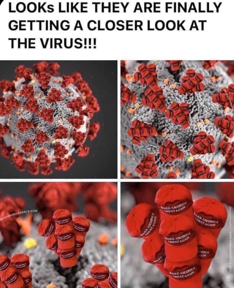 Coronavirus Hat.JPG
