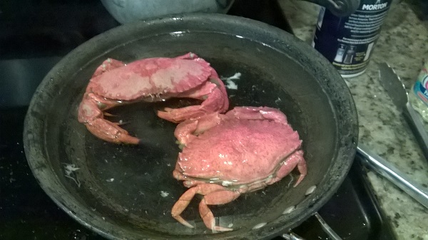 Crab 4.jpg