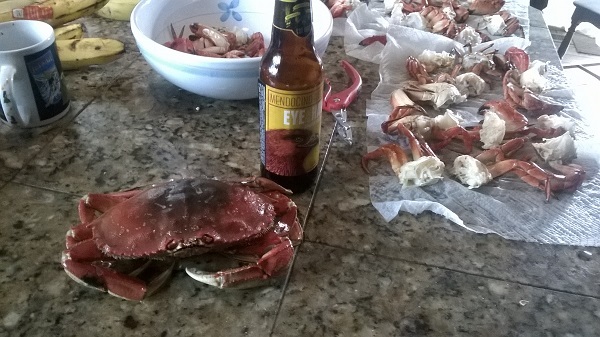 Crabs_1.jpg