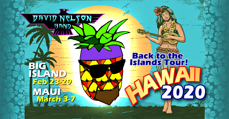 DNB 2020 Hawaii 800.png