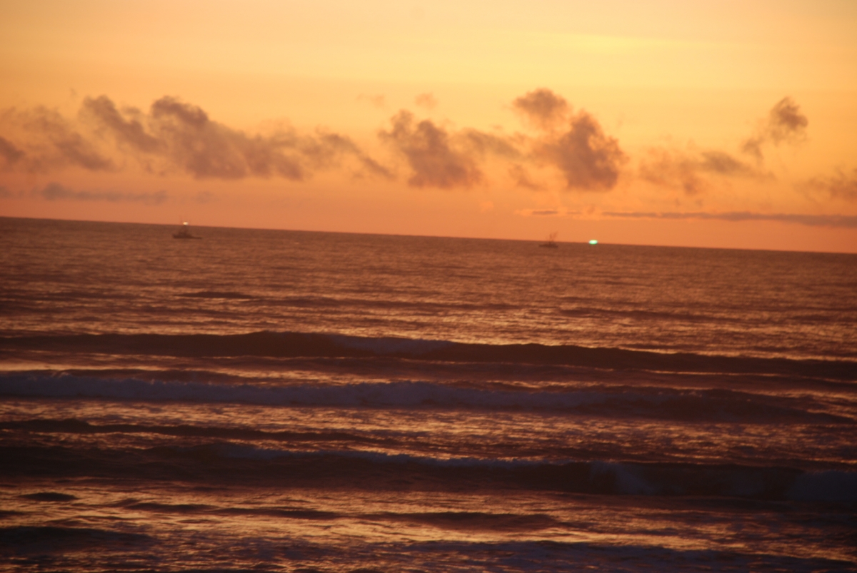 DSC_0085_0.JPG