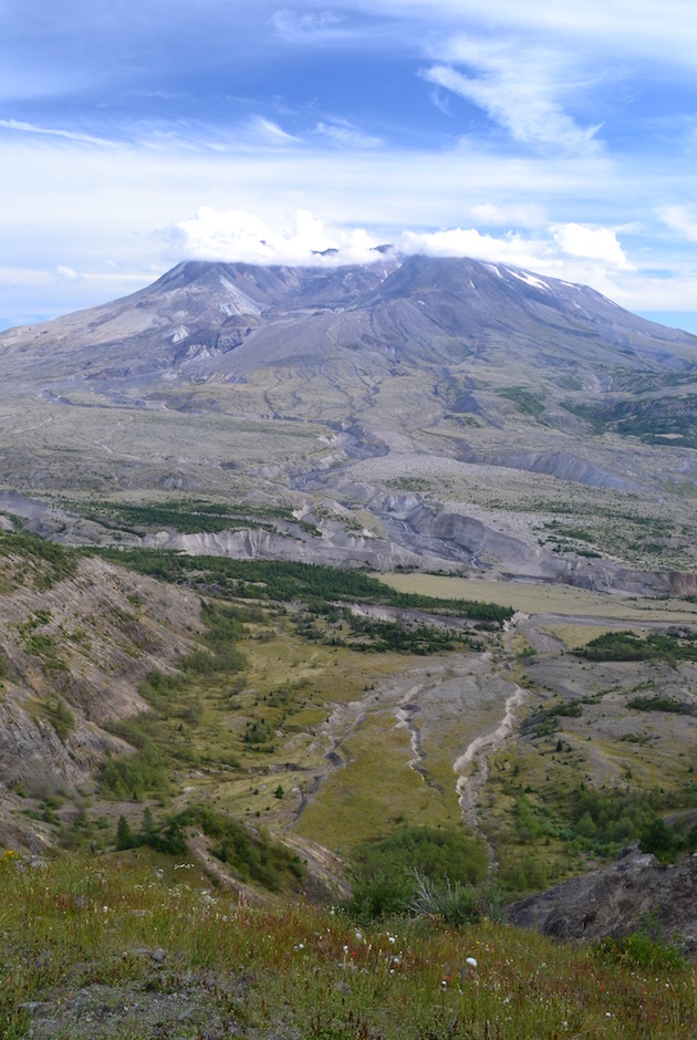 DSC_0225.jpg
