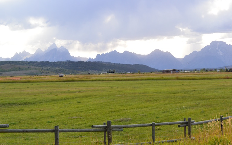 DSC_0265.jpg