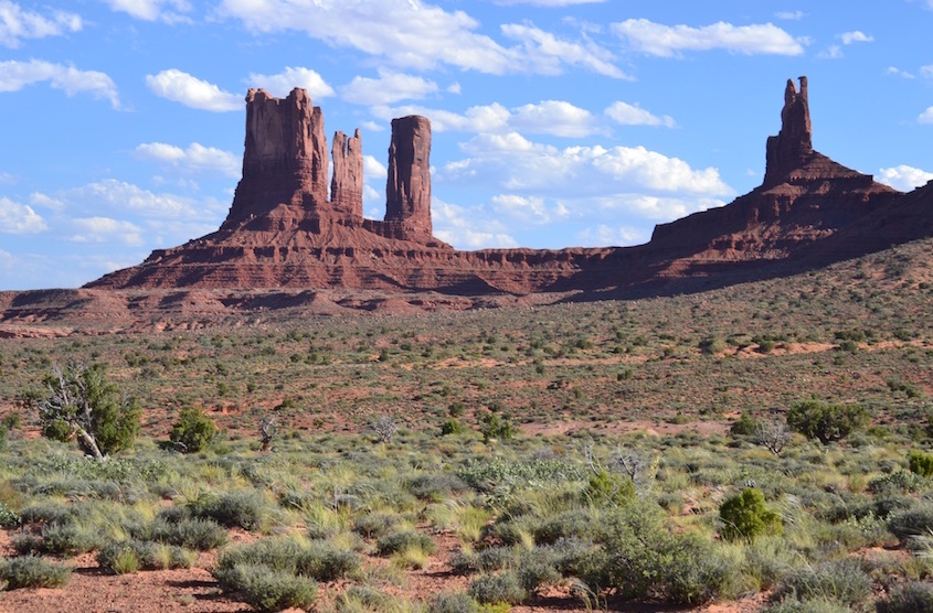 DSC_0609_0.jpg