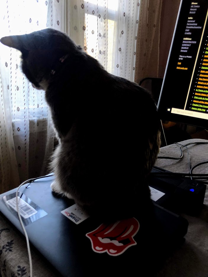 Daphnelaptop.jpg