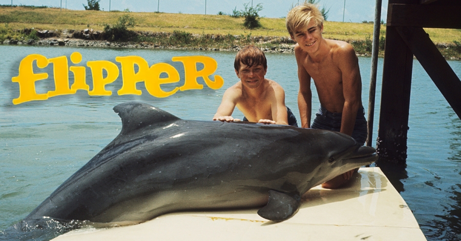 DsliZ-1531760408-1156-lists-flipper_main_1200.jpg