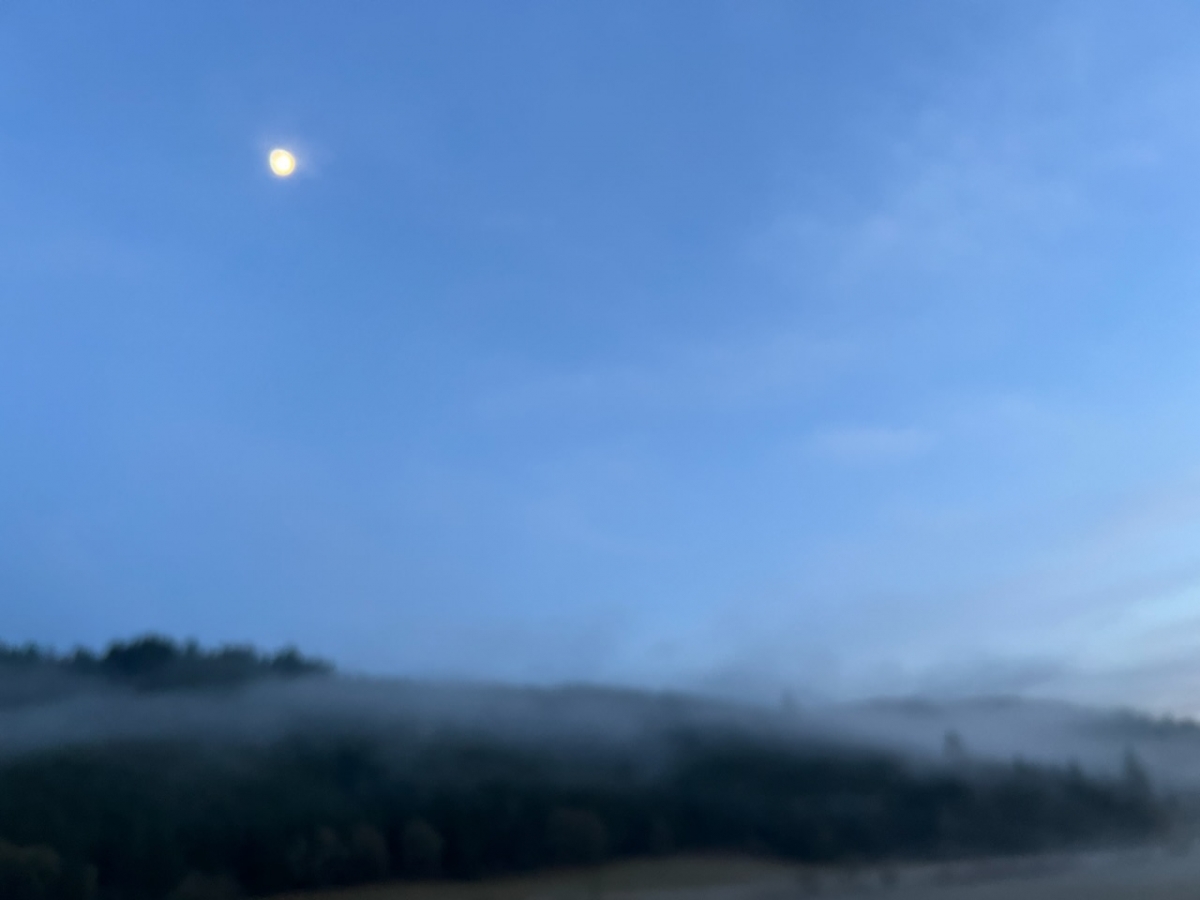 EE655B18-2AB3-4006-84A2-CF13EA289EC3.jpeg