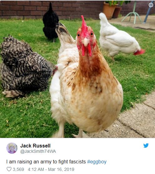 Egg Boy.JPG