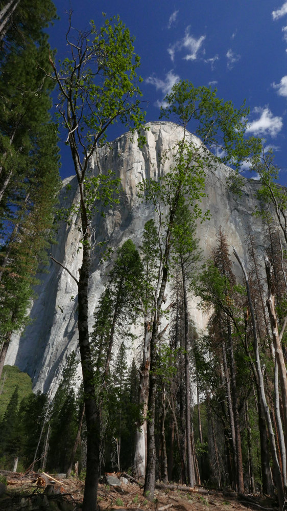 ElCap_2_0.jpg