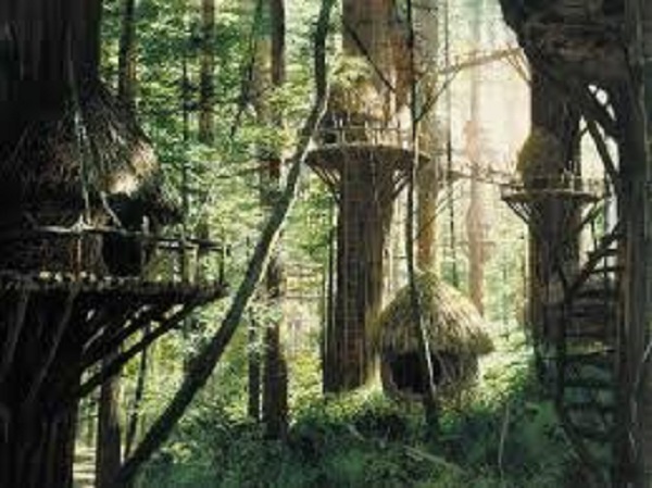 Ewok Village.jpg