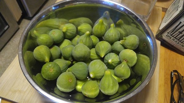 Figs.jpg