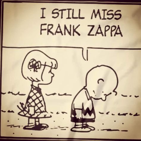 Frank Zappa.jpg