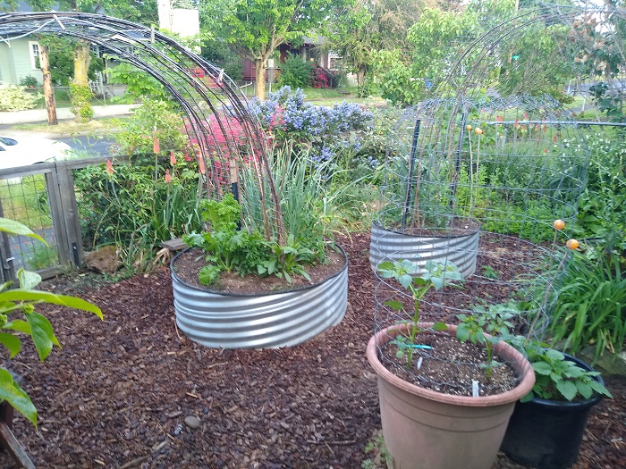 Front Garden 2.jpg