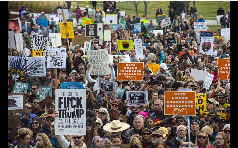 Fuck Trump (800x498).jpg