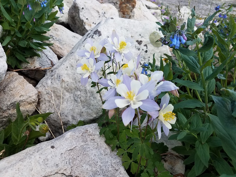 GP 0328.jpg