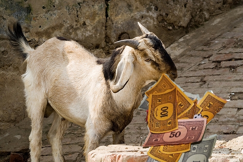 Game Goat.jpg