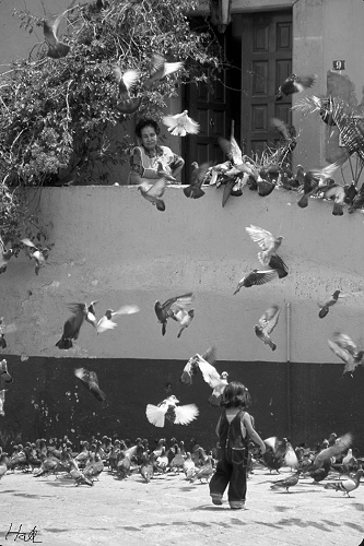Girl_Pigeons_Black_White1_0.jpg