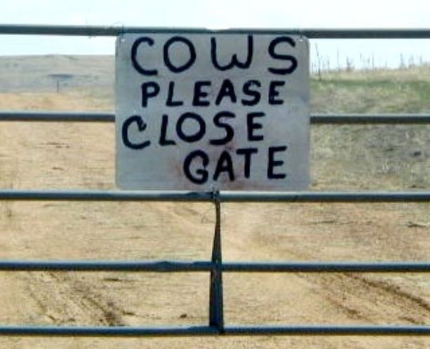 Grammar_punctuation_sign_hilarious_CowsPleaseCloseGate_ranching.jpg