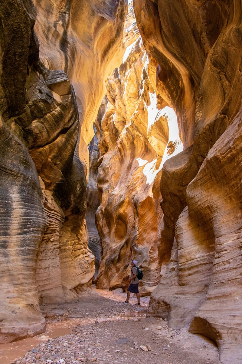 Grand Staircase.jpg