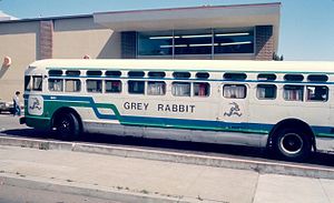 Grey_Rabbit_bus_in_San_Francisco_in_1982.jpg