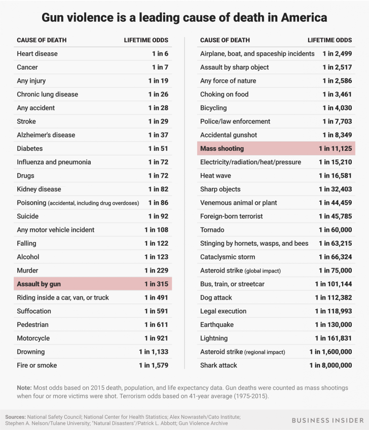 Gun Facts.jpg