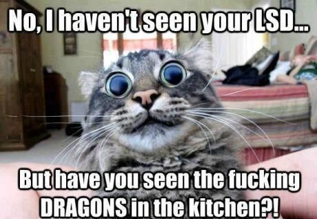 HaveYouSeen!.jpg