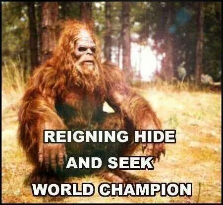 Hide+and+seek+isnt+easy+at+this+level_b83572_5232064.jpg
