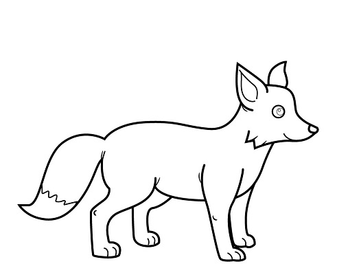 How-to-Draw-Fox-5_1.jpg