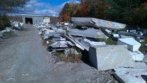 IMAG0843.jpg