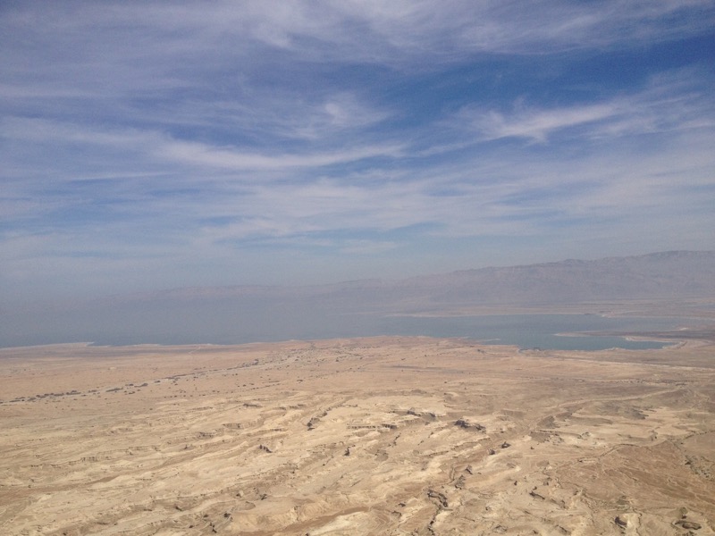 IMG_0174_0.JPG