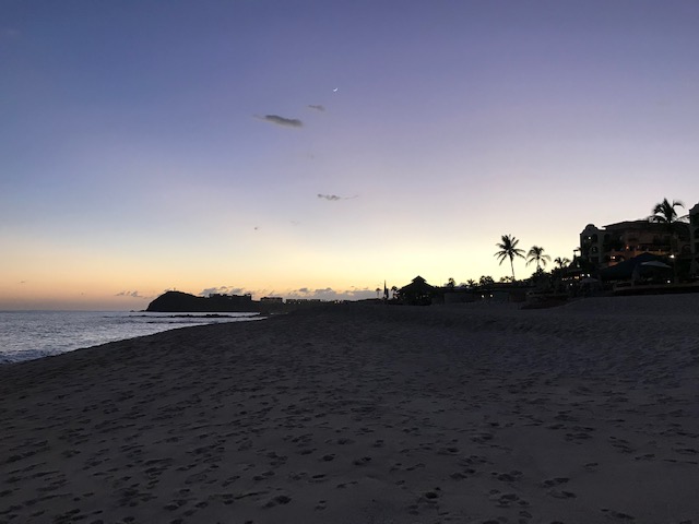 IMG_0381.jpg