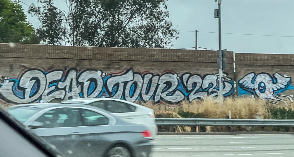 IMG_1565.jpeg