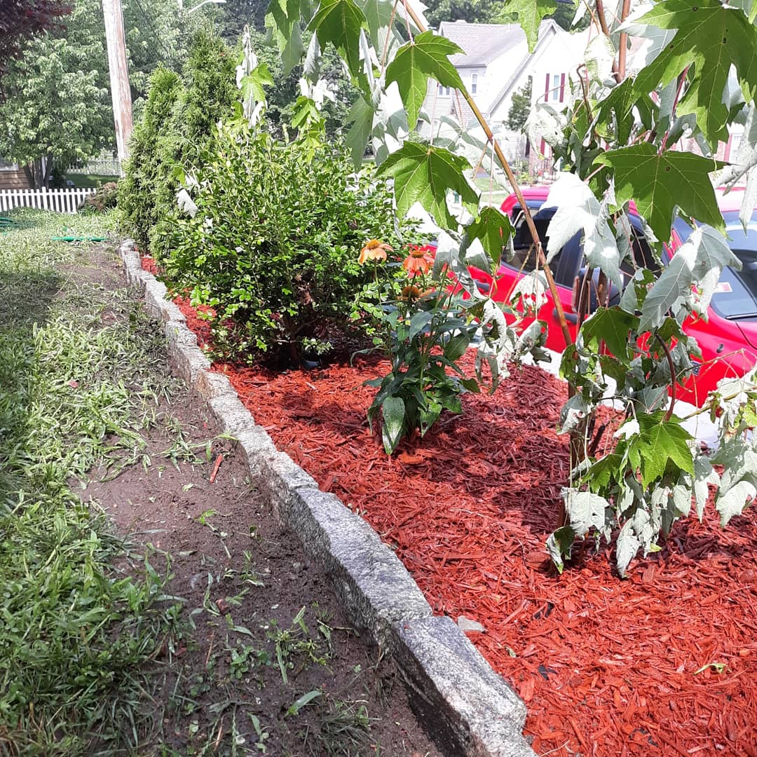 IMG_20190720_152013_255.jpg