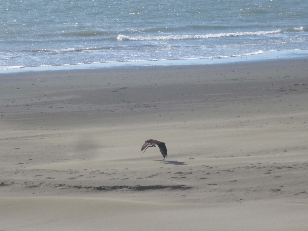 IMG_4404 copy.jpg