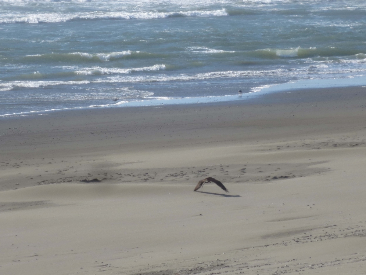 IMG_4405 copy.jpg