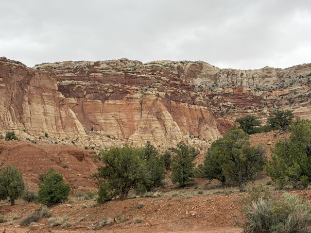 IMG_5200 (1).jpeg