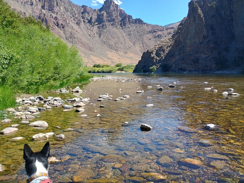 Idaho River.jpg