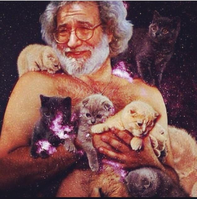 Jerry Cats.jpg