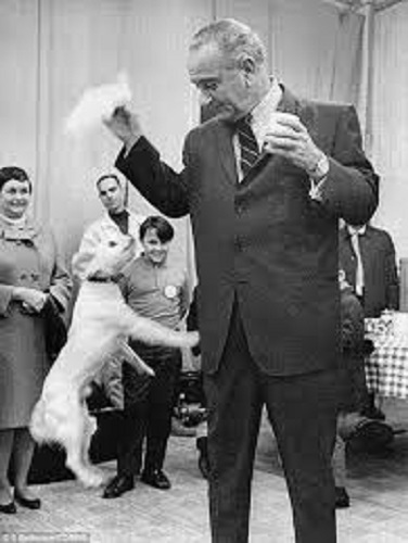 LBJ and dog II.jpg