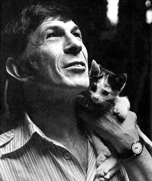 Leonard-Nimoy-leonard-nimoy-9475234-500-595.jpg